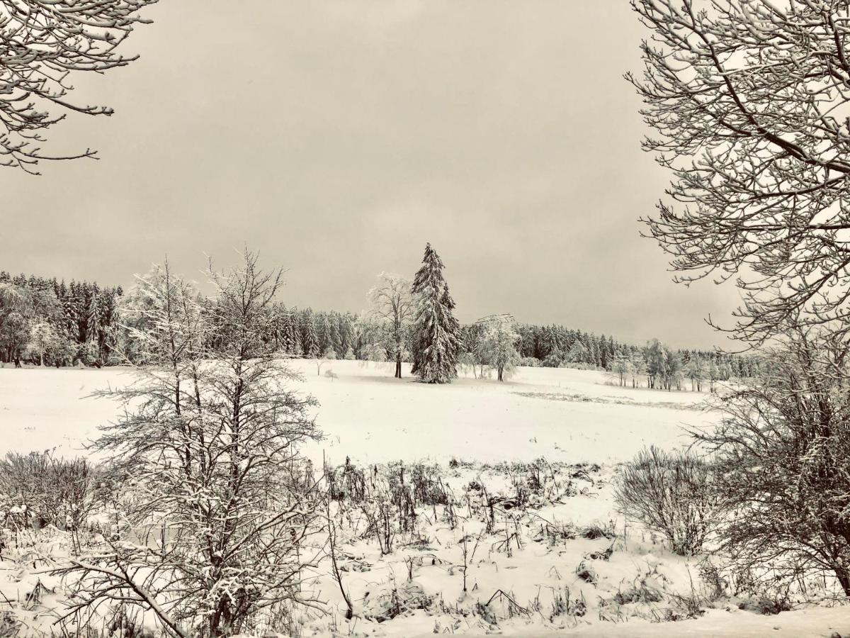 App 622 Panoramic Hohegeiss Mit Wlan Terrassenhaus Apartman Braunlage Kültér fotó