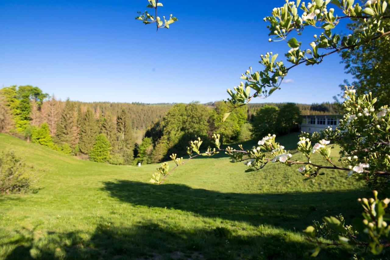 App 622 Panoramic Hohegeiss Mit Wlan Terrassenhaus Apartman Braunlage Kültér fotó